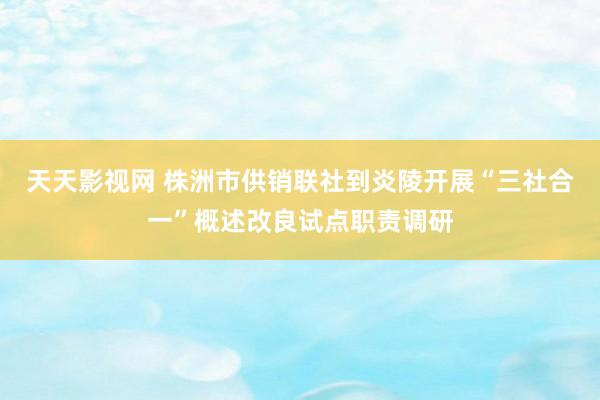 天天影视网 株洲市供销联社到炎陵开展“三社合一”概述改良试点职责调研