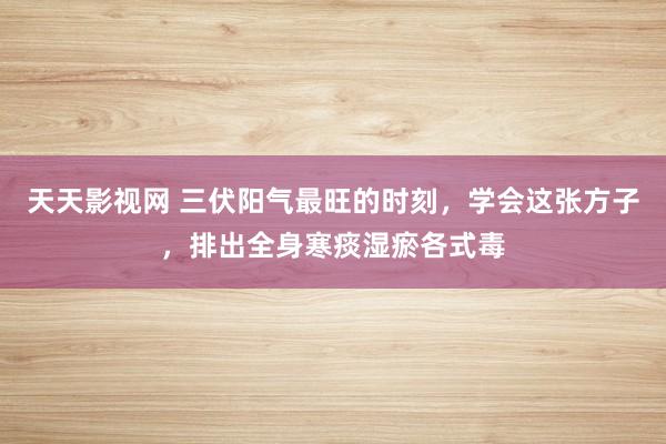 天天影视网 三伏阳气最旺的时刻，学会这张方子，排出全身寒痰湿瘀各式毒