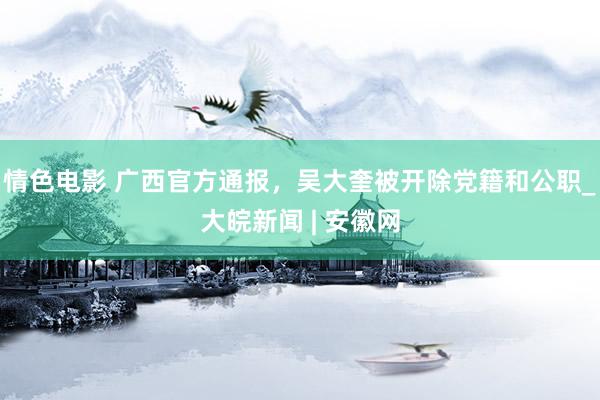 情色电影 广西官方通报，吴大奎被开除党籍和公职_大皖新闻 | 安徽网