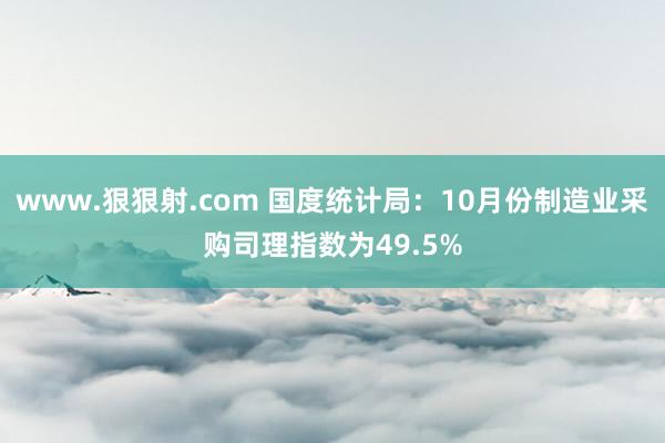 www.狠狠射.com 国度统计局：10月份制造业采购司理指数为49.5%