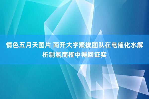 情色五月天图片 南开大学聚拢团队在电催化水解析制氢商榷中得回证实