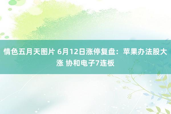 情色五月天图片 6月12日涨停复盘：苹果办法股大涨 协和电子7连板