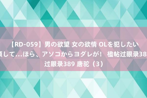 【RD-059】男の欲望 女の欲情 OLを犯したい すました顔して…ほら、アソコからヨダレが！ 楹帖过眼录389 唐驼（3）