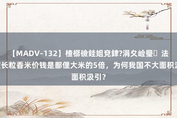 【MADV-132】楂樼礆銈姐兗銉?涓夊崄璺法 印度长粒香米价钱是鄙俚大米的5倍，为何我国不大面积汲引？