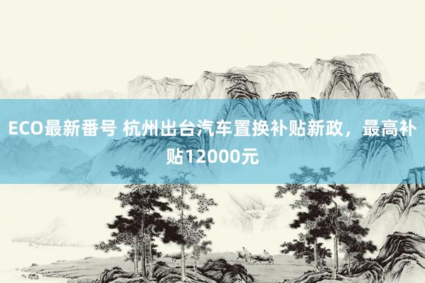 ECO最新番号 杭州出台汽车置换补贴新政，最高补贴12000元