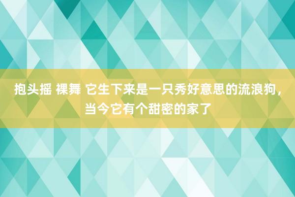 抱头摇 裸舞 它生下来是一只秀好意思的流浪狗，当今它有个甜密的家了