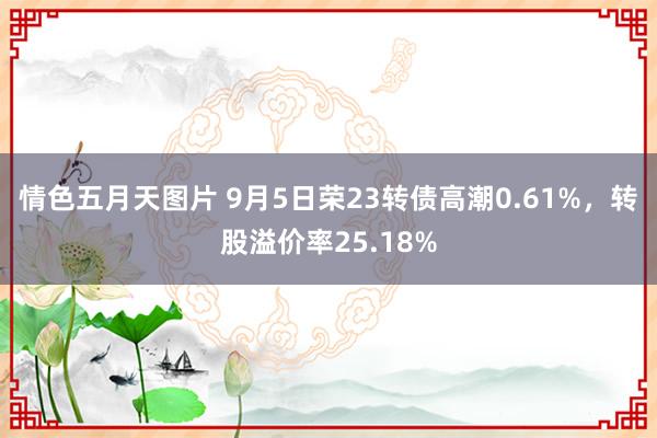 情色五月天图片 9月5日荣23转债高潮0.61%，转股溢价率25.18%