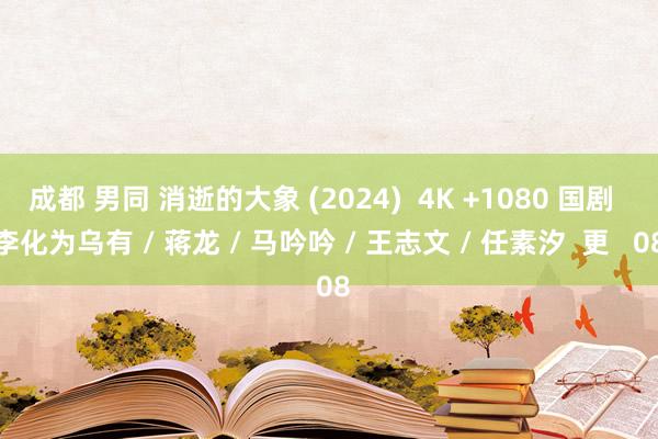 成都 男同 消逝的大象 (2024)  4K +1080 国剧  李化为乌有 / 蒋龙 / 马吟吟 / 王志文 / 任素汐  更   08