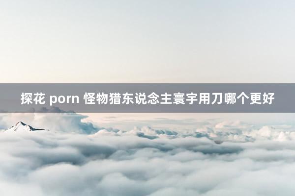 探花 porn 怪物猎东说念主寰宇用刀哪个更好